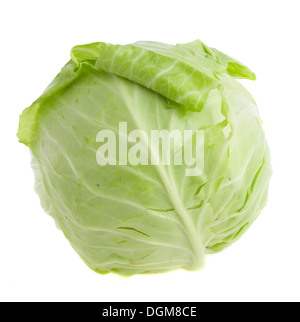 Photo cabbage-head on a white background Stock Photo