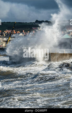 Aberystwyth Wales UK, Wednesday 23 October 2013 Gale force winds, a high tide and stormy seas bring huge waves crashing into the promenade at Aberystwyth on the west wales coast, UK. Stormy weather has swept across the UK with more on the way according to reports. Credit: keith morris/Alamy Live News Stock Photo