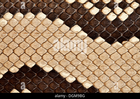 Background, texture of a skin of a snake close up Stock Photo