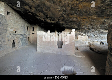 Spruce Tree House, cliff dwelling of the native Americans, about 800 years old, Mesa Verde National Park Stock Photo