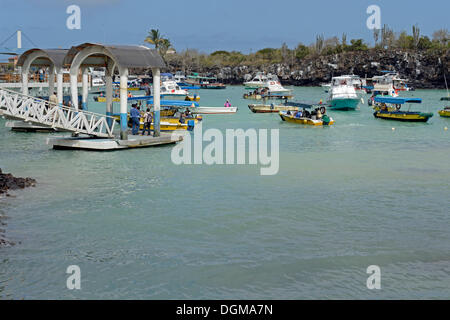 Wharf and jetties as a starting point for Galapagos cruises on the harbour of Puerto Ayora, Santa Cruz Island Stock Photo