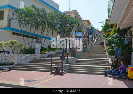 Stairs, Escalantina Diego Noboa, in the district of Las Penas, for climbing Cerro Santa Ana, Guayaquil, Ecuador, South America Stock Photo