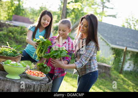 Organic farm. Summer party. Two young girls and a young adult preparing salad leaves for a buffet. Stock Photo