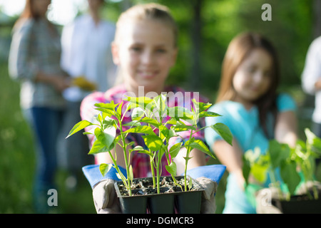 Organic farm. Summer party. A young girl holding out a tray of seedling plants. Stock Photo
