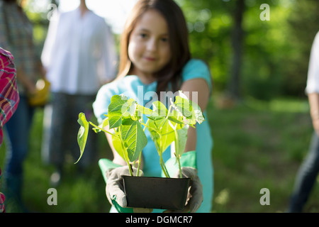 Organic farm. Summer party. A young girl holding out a tray of seedling plants. Stock Photo