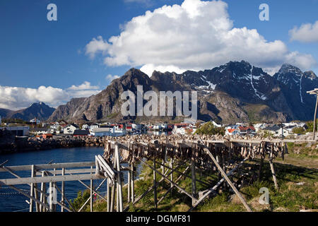 Drying racks with dried cod, a fishing village at the back, Henningsvaer, Henningsvær, Heimöya, Heimøya, Lofoten, Nordland Stock Photo