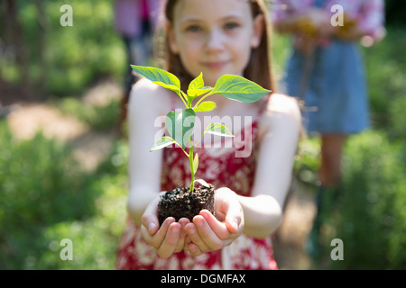 Garden. A young girl holding a young plant with green foliage and a healthy rootball in her hands. Stock Photo