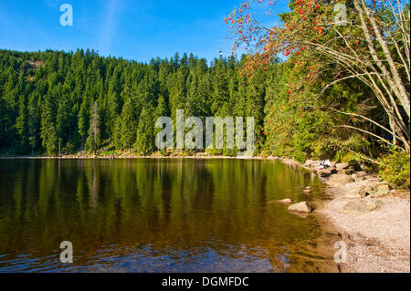 Mummelsee Lake, Black Forest, Baden Wurttemberg, Germany, Europe Stock ...