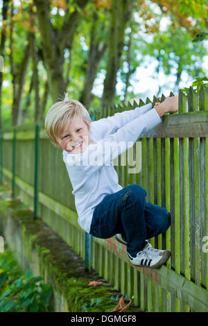Boy, 7 years old, hanging on a wooden fence Stock Photo