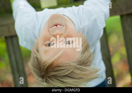 Boy, 7 years old, hanging on to a wooden fence, upside down Stock Photo