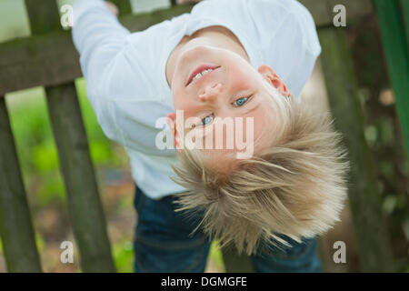 Boy, 9 years old, hanging on to a wooden fence, upside down Stock Photo