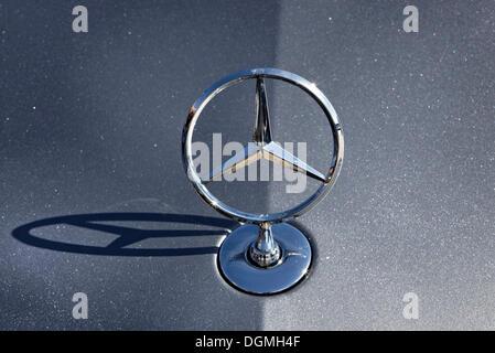 Star of Mercedes-Benz on the hood of a new E-Class car in Stuttgart, Baden-Wuerttemberg Stock Photo