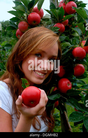 Smiling girl with a red apple in apple orchard Stock Photo