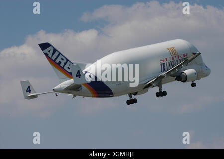 Airbus Beluga aeroplane, Hamburg Stock Photo