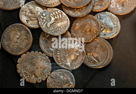 Roman coins, Varus Battle or Battle of the Teutoburg Forest, Kalkriese Museum and Park, Osnabruecker Land region, Lower Saxony Stock Photo