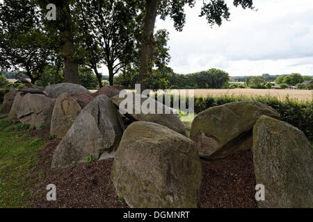 Jeggen megalithic grave, burial site from the Neolithic period, Osnabruecker Land region, Lower Saxony Stock Photo