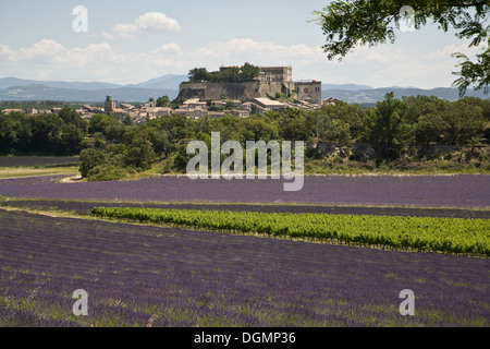 Grignan, France, Cityscape, lavender fields in the foreground Stock Photo