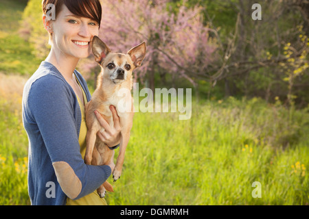 A young woman in a grassy field in spring. Holding a small chihuahua dog in her arms. A pet. Stock Photo