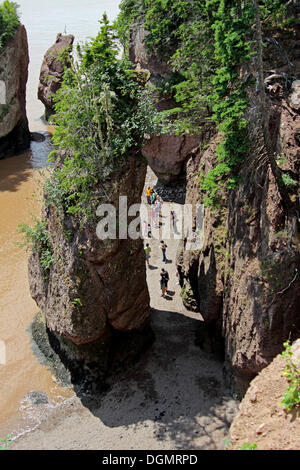 Hopewell Rocks, Río de Chocolate, la Bahía de Fundy, New Brunswick