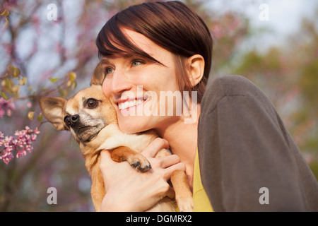 A young woman in a grassy field in spring. Holding a small chihuahua dog in her arms. A pet.