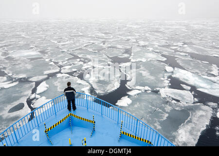 Passenger of the expedition cruise ship, MS Quest, overlooking pack ice in the fog, Spitsbergen Island, Svalbard Archipelago Stock Photo