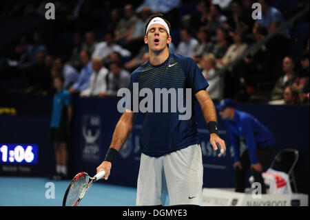 Basel, Switzerland. 23 Oct, 2013. Juan Martin Del Potro (ARG) disappointed during the 1st round of the Swiss Indoors at St. Jakobshalle on Wednesday. Photo: Miroslav Dakov/Alamy Live News Stock Photo
