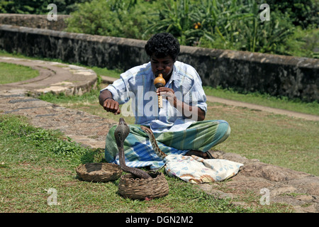 KING COBRA SNAKE CHARMER & PYTHON GALLE SRI LANKA 17 March 2013 Stock Photo