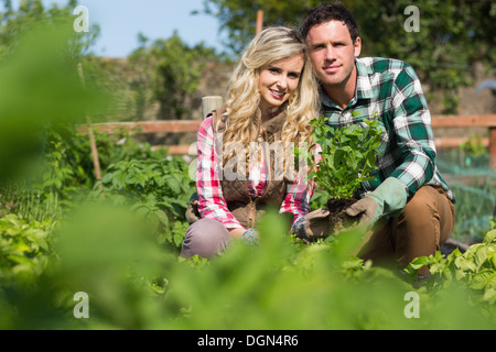 Young couple holding a plant Stock Photo