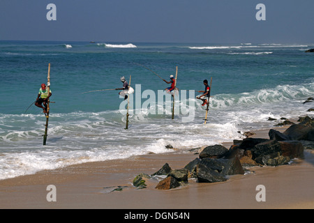 STILT FISHERMEN & INDIAN OCEAN MIDIGAMA SRI LANKA 19 March 2013 Stock Photo