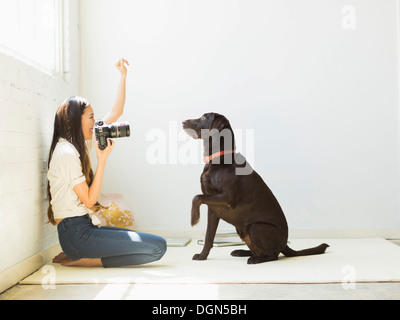 Woman photographing dog in studio Stock Photo