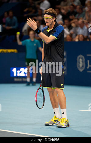 Basel, Switzerland. 23 Oct, 2013. Denis Istomin (UZB) disappointed during the 2nd round of the Swiss Indoors at St. Jakobshalle on Wednesday. Photo: Miroslav Dakov/Alamy Live News Stock Photo