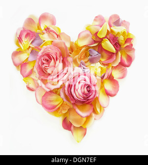 Heart made of rose petals Stock Photo