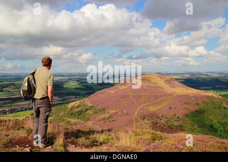 Caucasian Walker Looking Towards North Eildon Hill, Eildon Hills, Borders, Scotland, UK MODEL RELEASED Stock Photo