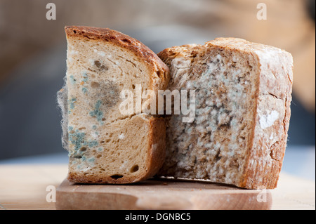 Two moldy bread portions Stock Photo