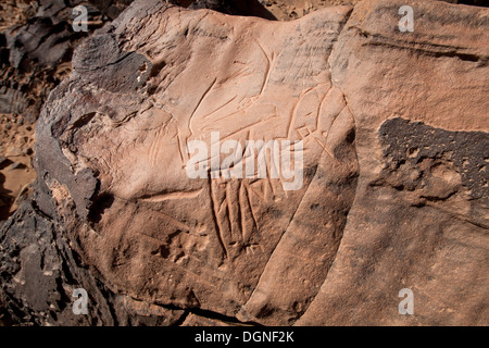 Prehistoric rock carvings at Oued Mestakou on the Tata to Akka road in Morocco. rock-art Stock Photo