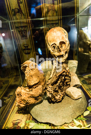 Embalmed mummy and skull in Peru. Bones at Chauchilla archeological site, Nazca, South America Stock Photo