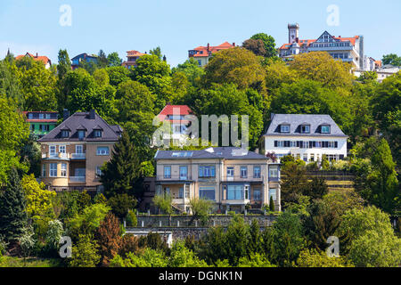 Villa district of Loschwitz on the slopes of the Dresden Elbe Valley, Dresden, Saxony, Germany Stock Photo