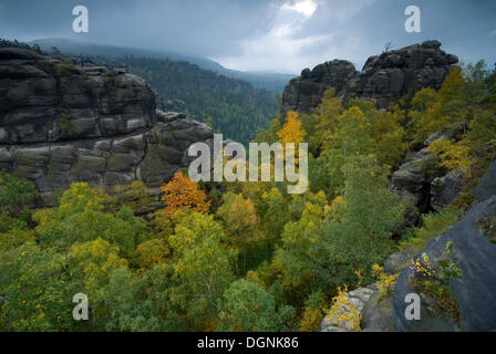 Cliffs in autumn in the Elbsandsteingebirge Elbe Sandstone Mountains, Saxony Stock Photo