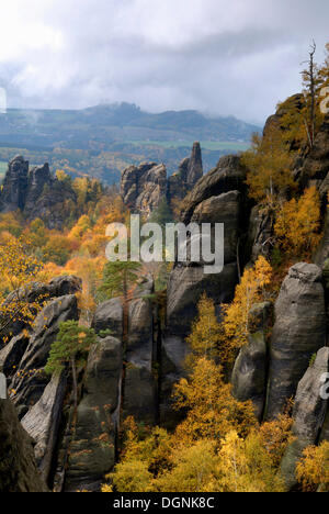 Cliffs in autumn in the Elbsandsteingebirge Elbe Sandstone Mountains, Saxony Stock Photo