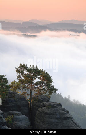 View from the Malerweg trail over the Elbe valley in the morning mist, Elbe Sandstone Mountains, Saxon Switzerland, Saxony Stock Photo