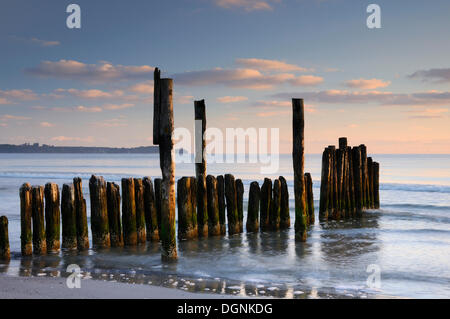 Groynes on the Baltic coast, Ruegen island, Mecklenburg-Western Pomerania Stock Photo