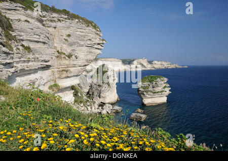 Coastal cliffs near Bonifacio, Corsica, France, Europe Stock Photo