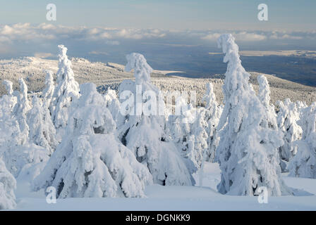 Winter landscape on Brocken mountain, Harz, Saxony-Anhalt Stock Photo