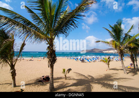 Las Canteras beach in Las Palmas, Grand Canary, Canary Islands, Spain Stock Photo