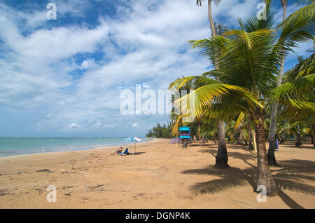 Beach with palm trees, Luquillo Beach, Puerto Rico, Caribbean Stock Photo