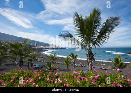 Playa Jardin in Puerto de la Cruz, Tenerife, Canary Islands, Spain, Europe Stock Photo
