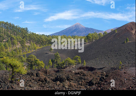 Volcanic landscape, Teide-National Park, Tenerife, Canary Islands, Spain Stock Photo