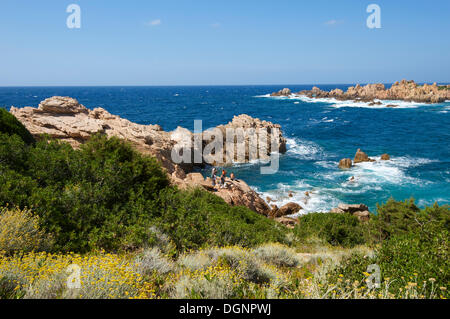 Coast of Capo Testa, Santa Teresa Gallura, Sardinia, Italy Stock Photo