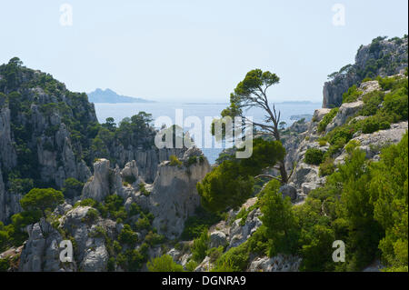 Karst rocks in the rocky bay Calanque d'En-Vau, Calanques National Park, Cassis, Département Bouches-du-Rhône, Region Stock Photo