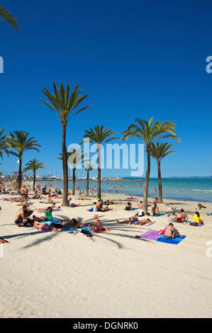 Tourists on Playa de s'Arenal beach, S'Arenal, Palma de Mallorca ...